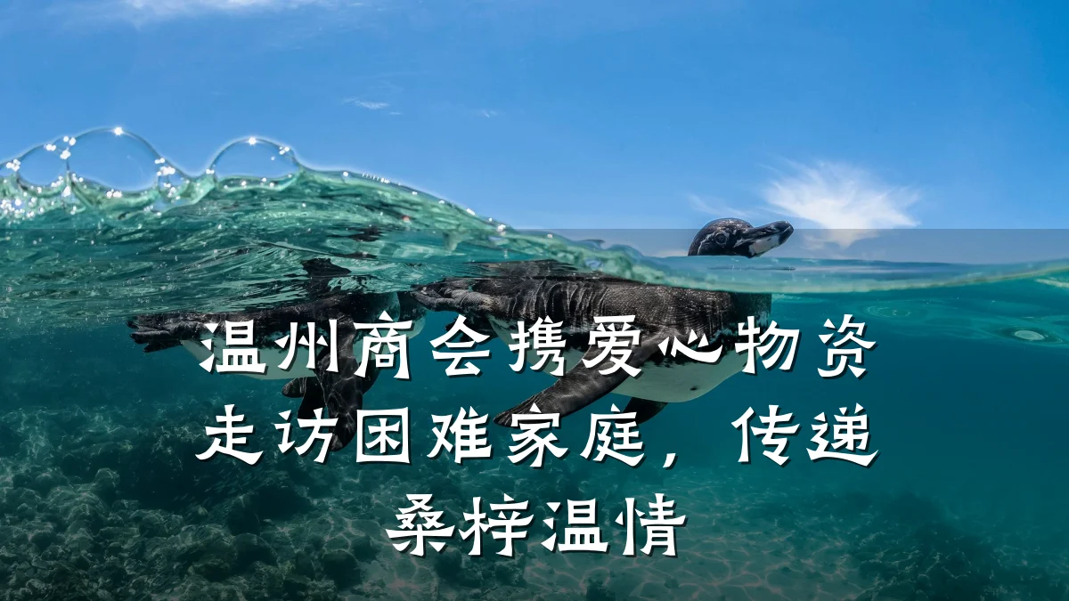 温州商会携爱心物资走访困难家庭,传递桑梓温情