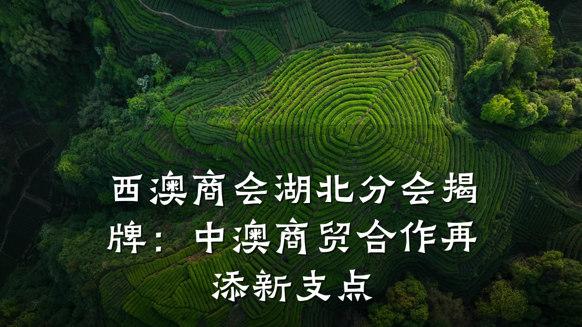 西澳商会湖北分会揭牌:中澳商贸合作再添新支点