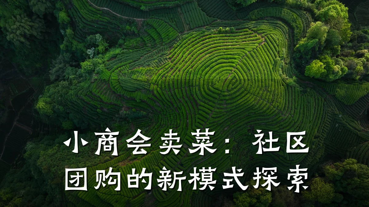 小商会卖菜：社区团购的新模式探索