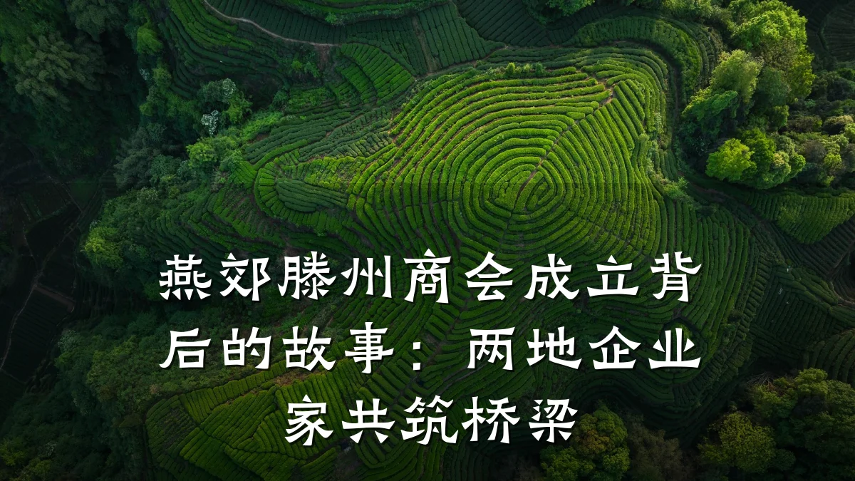 燕郊滕州商会成立背后的故事:两地企业家共筑桥梁