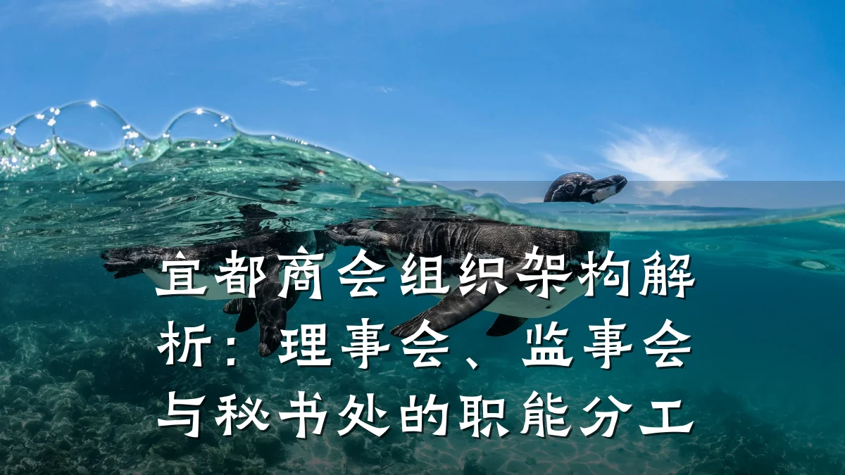 宜都商会组织架构解析:理事会、监事会与秘书处的职能分工