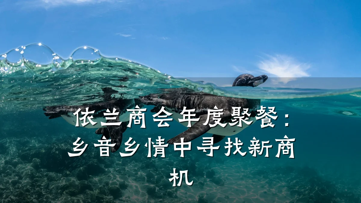 依兰商会年度聚餐:乡音乡情中寻找新商机