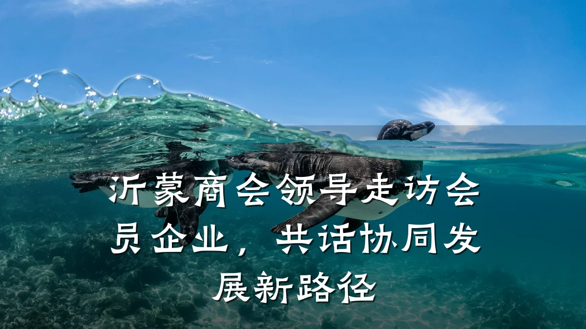沂蒙商会领导走访会员企业,共话协同发展新路径