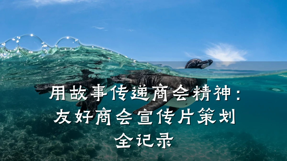 用故事传递商会精神：友好商会宣传片策划全记录