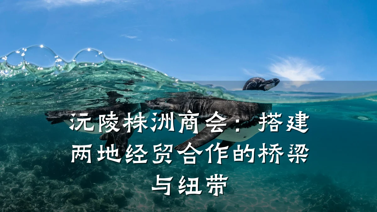 沅陵株洲商会：搭建两地经贸合作的桥梁与纽带