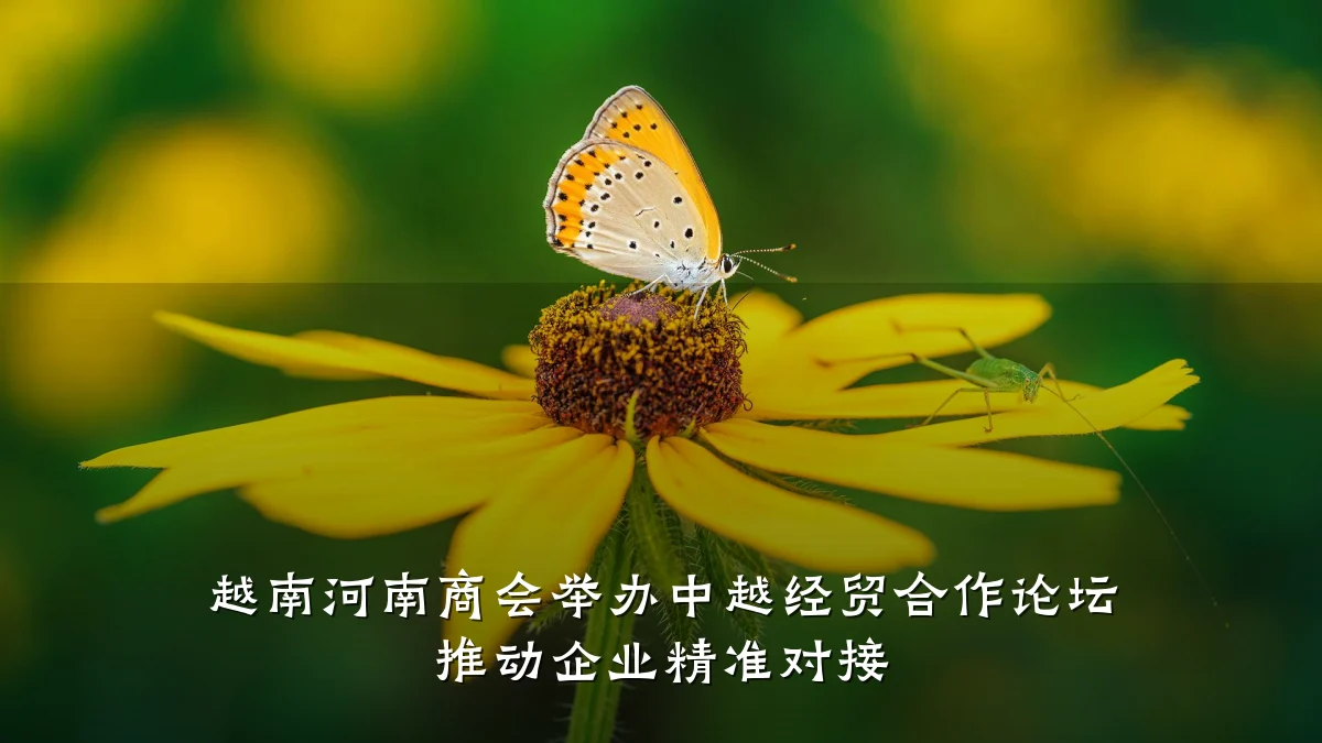 越南河南商会举办中越经贸合作论坛 推动企业精准对接