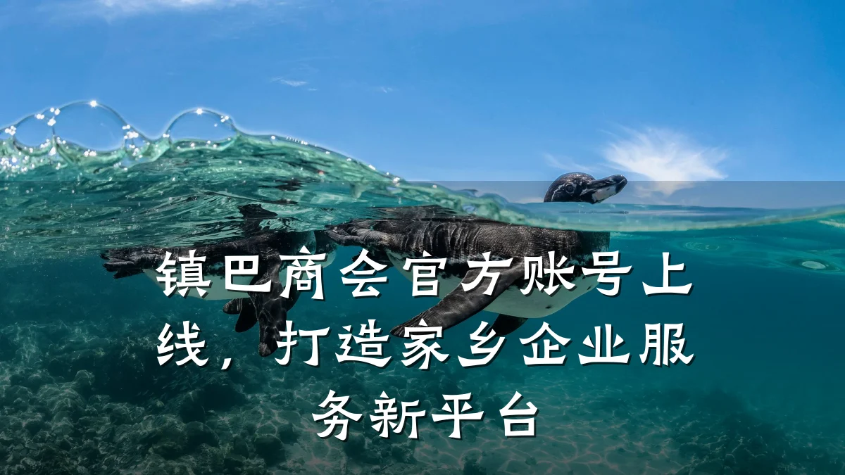 镇巴商会官方账号上线，打造家乡企业服务新平台
