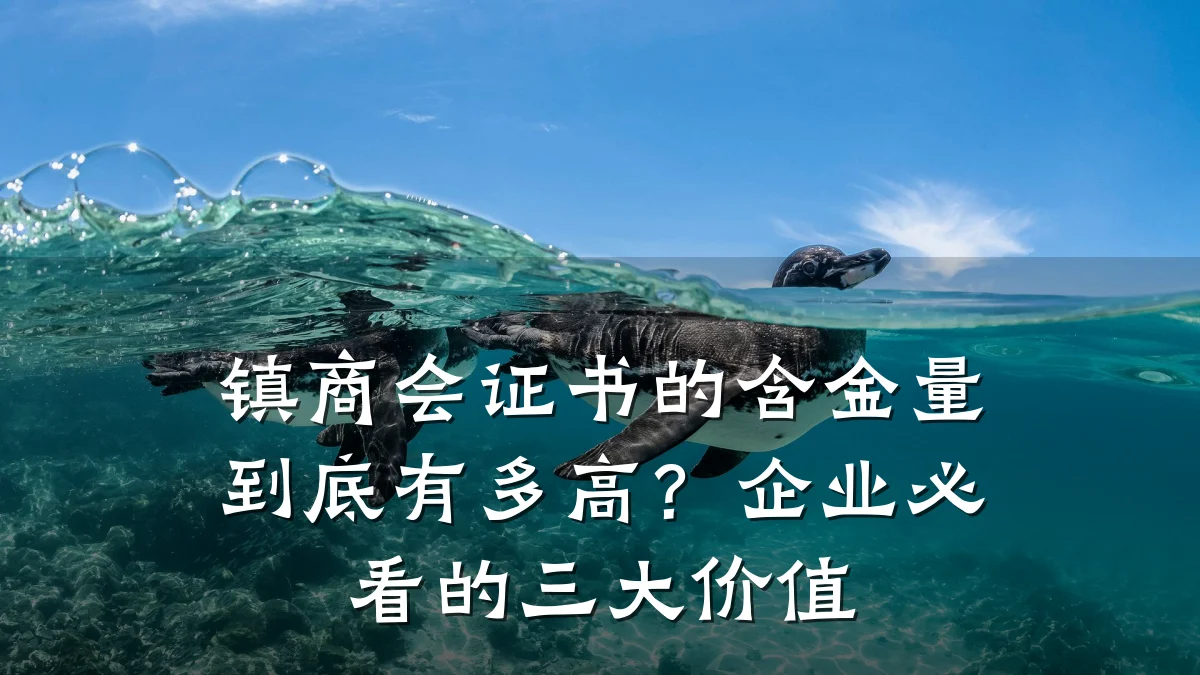 镇商会证书的含金量到底有多高?企业必看的三大价值