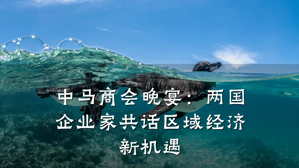中马商会晚宴:两国企业家共话区域经济新机遇