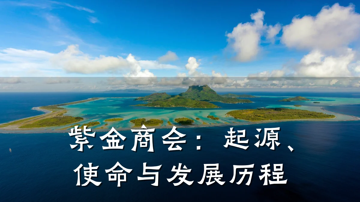紫金商会:起源、使命与发展历程