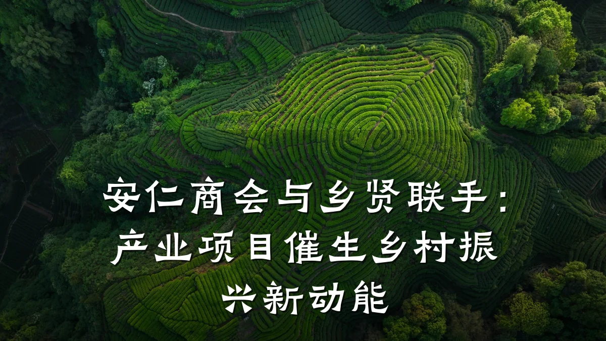 安仁商会与乡贤联手:产业项目催生乡村振兴新动能