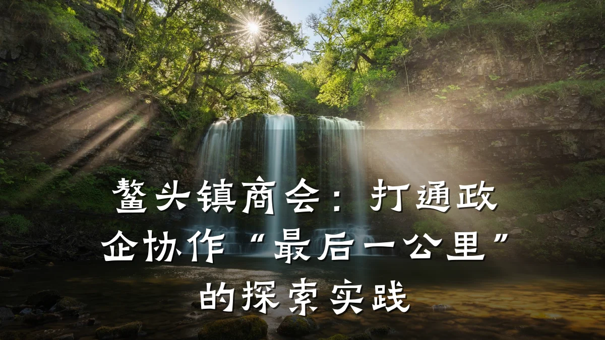 鳌头镇商会:打通政企协作“最后一公里”的探索实践