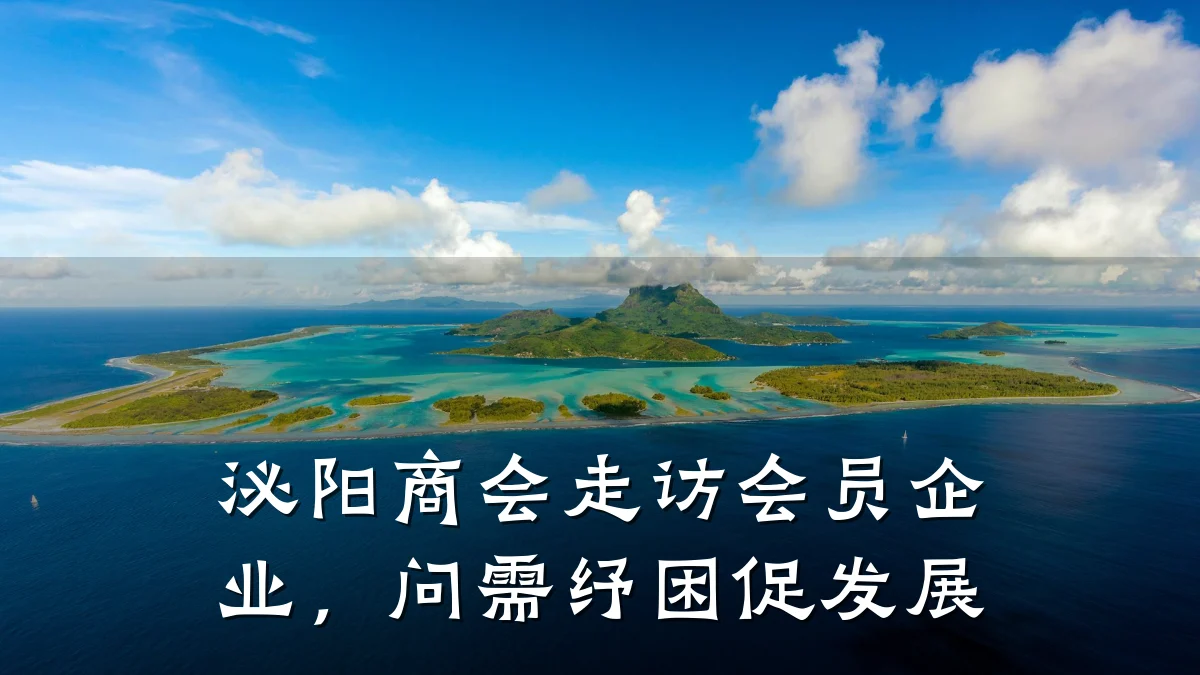 泌阳商会走访会员企业,问需纾困促发展