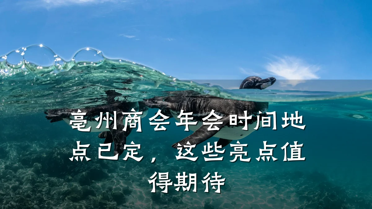 亳州商会年会时间地点已定,这些亮点值得期待