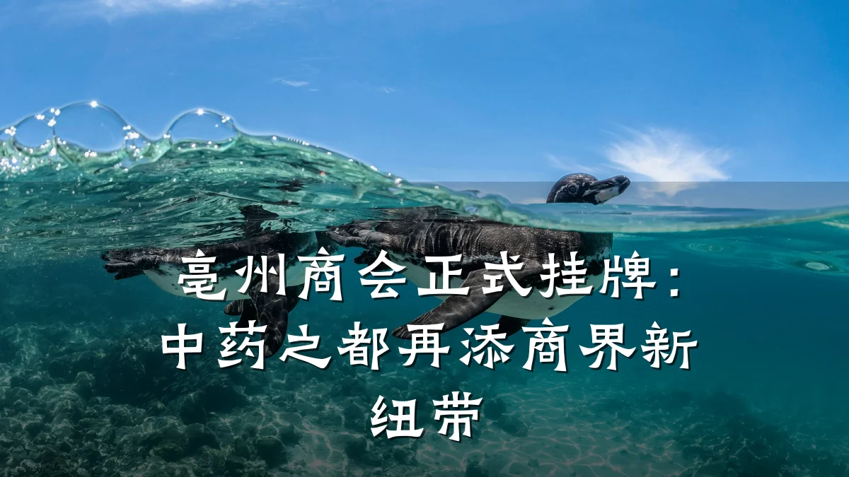 亳州商会正式挂牌:中药之都再添商界新纽带