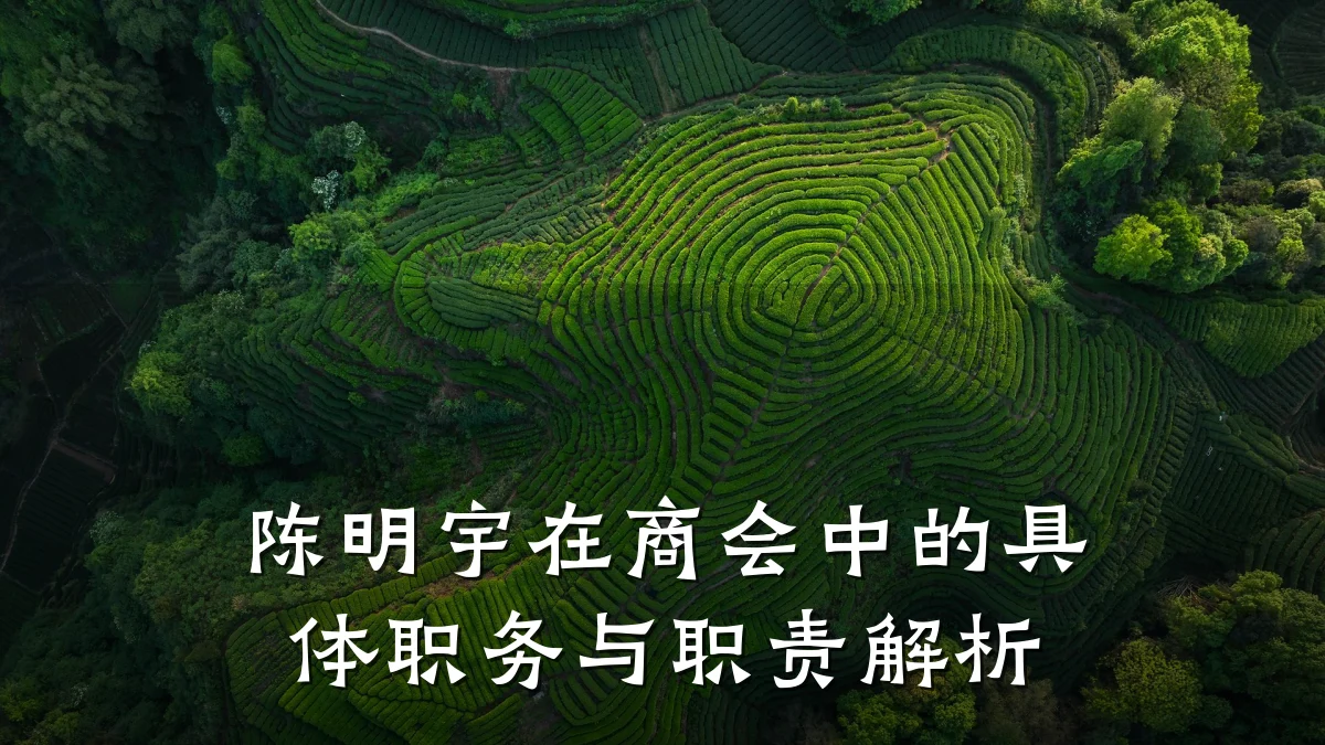 陈明宇在商会中的具体职务与职责解析