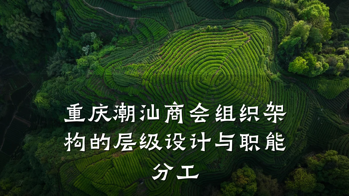 重庆潮汕商会组织架构的层级设计与职能分工