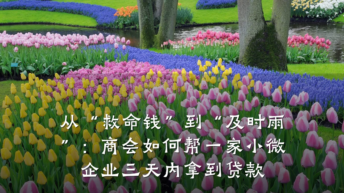 从“救命钱”到“及时雨”:商会如何帮一家小微企业三天内拿到贷款