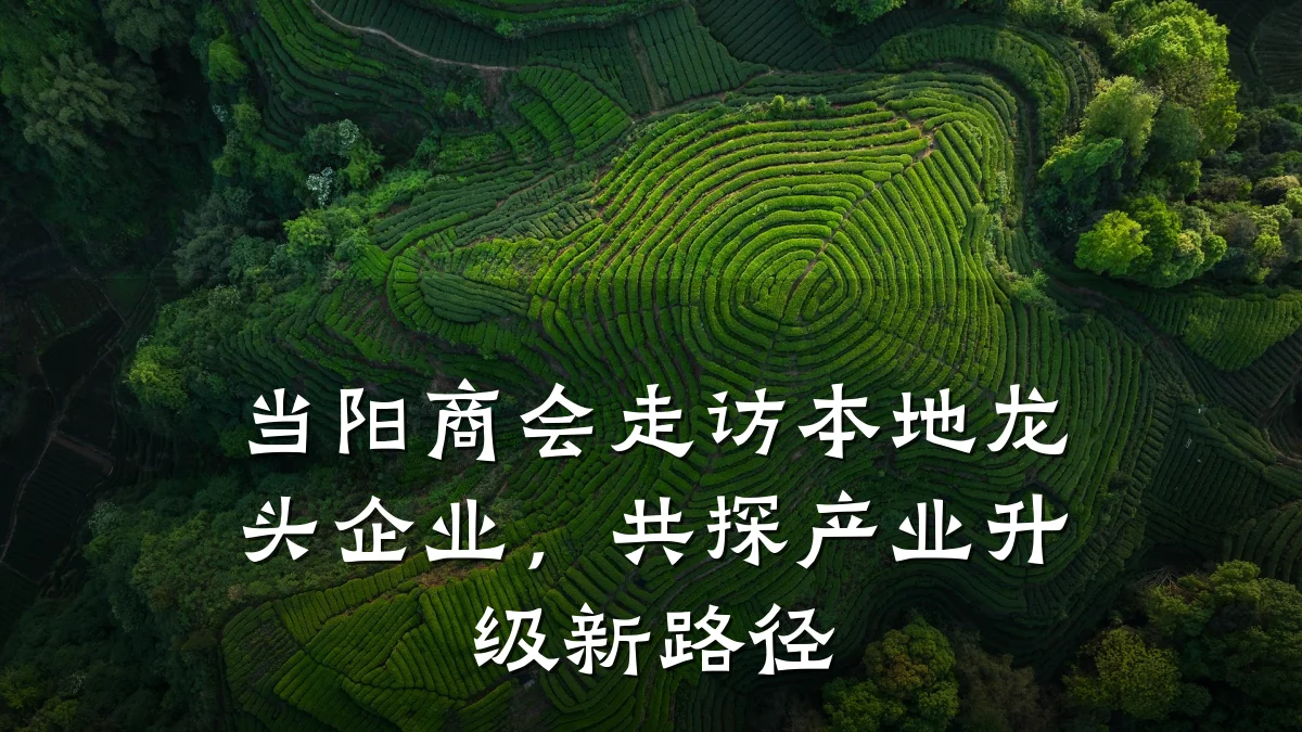 当阳商会走访本地龙头企业，共探产业升级新路径