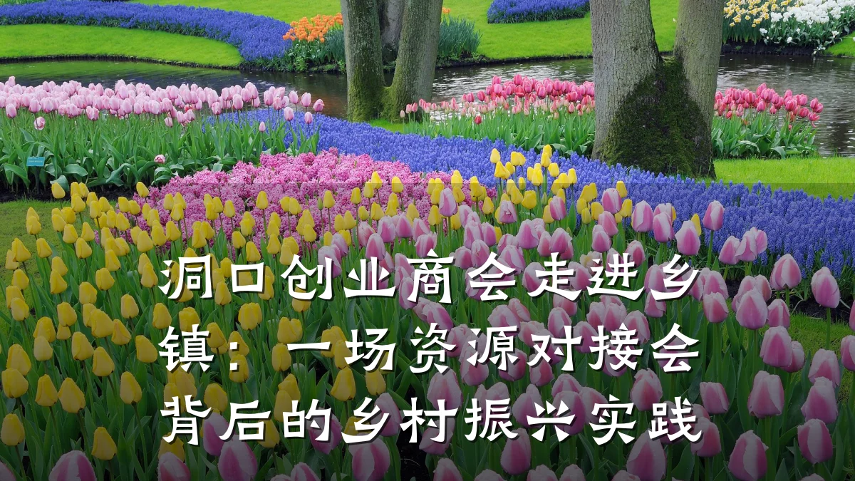 洞口创业商会走进乡镇:一场资源对接会背后的乡村振兴实践