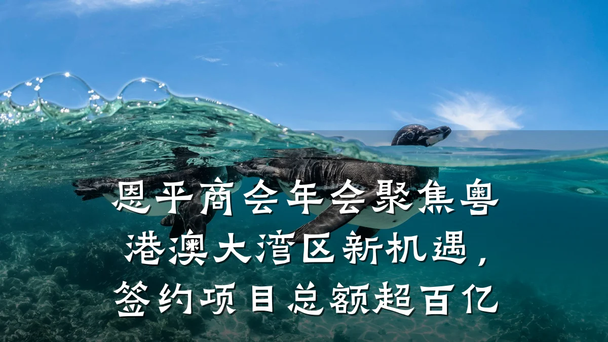 恩平商会年会聚焦粤港澳大湾区新机遇,签约项目总额超百亿