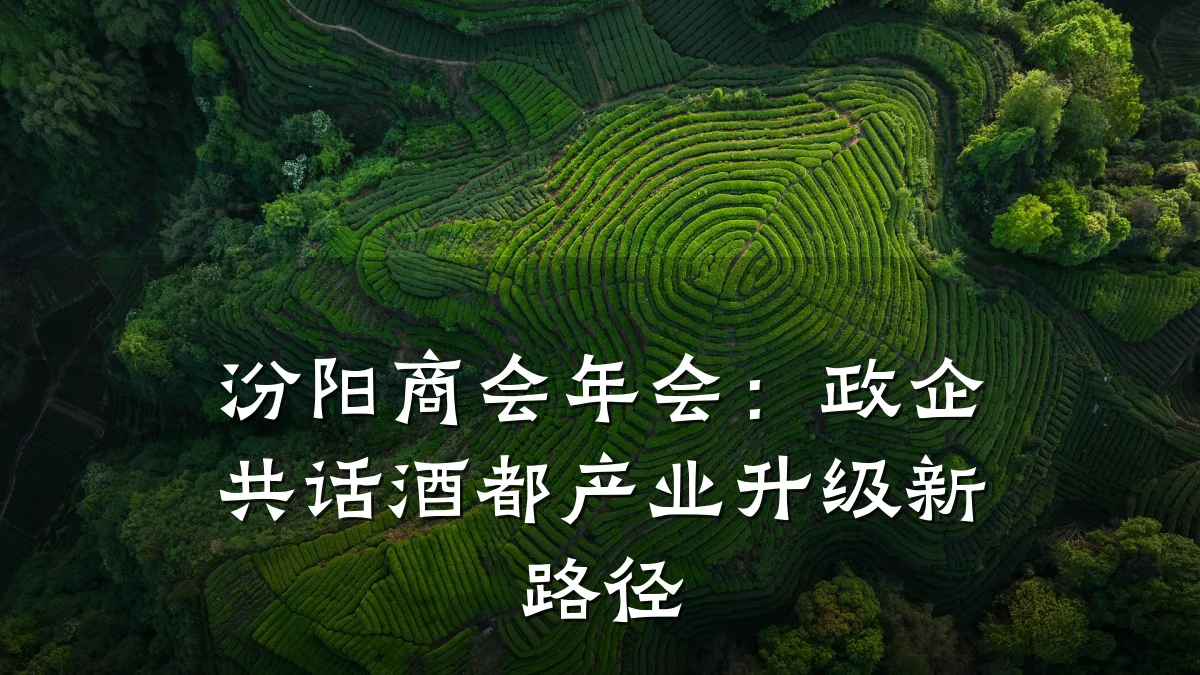 汾阳商会年会:政企共话酒都产业升级新路径