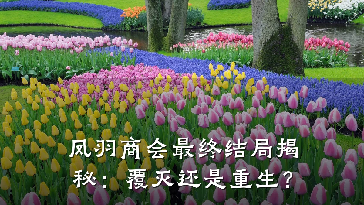 凤羽商会最终结局揭秘:覆灭还是重生?