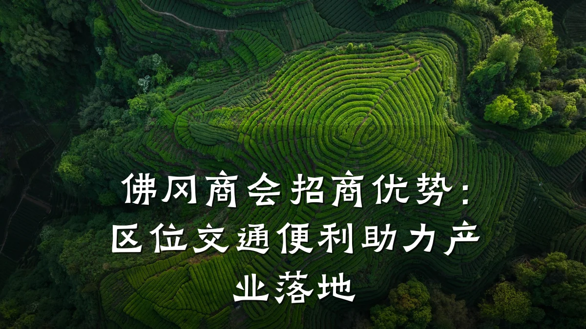 佛冈商会招商优势:区位交通便利助力产业落地