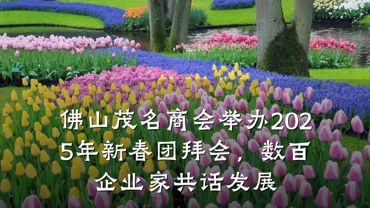 佛山茂名商会举办2025年新春团拜会,数百企业家共话发展