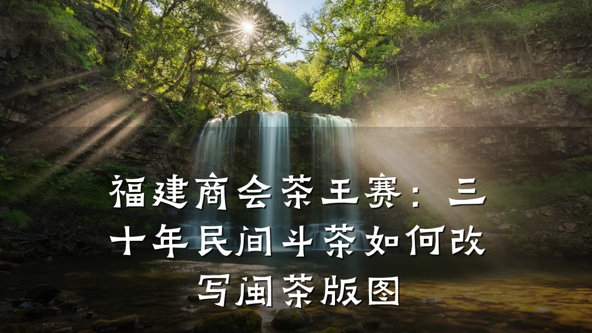 福建商会茶王赛：三十年民间斗茶如何改写闽茶版图