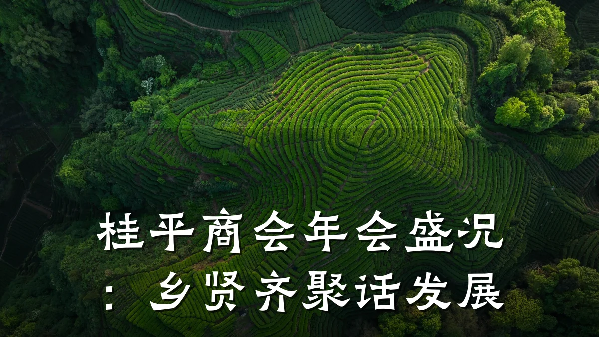 桂平商会年会盛况:乡贤齐聚话发展