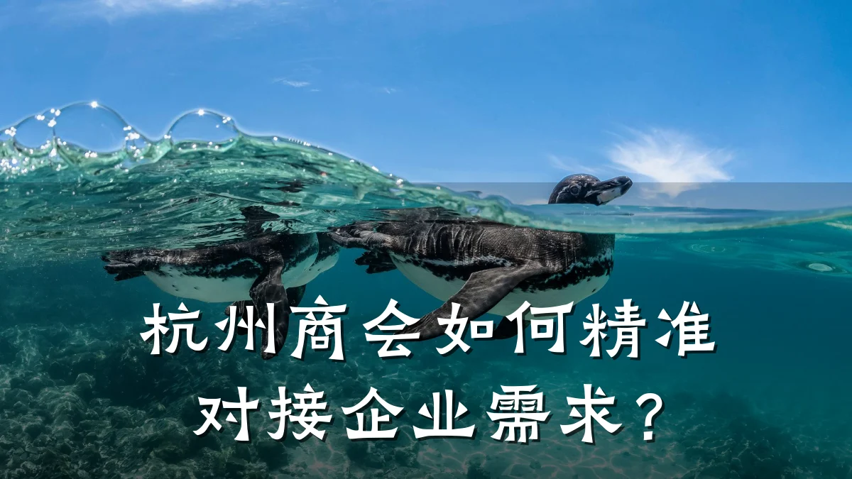 杭州商会如何精准对接企业需求?