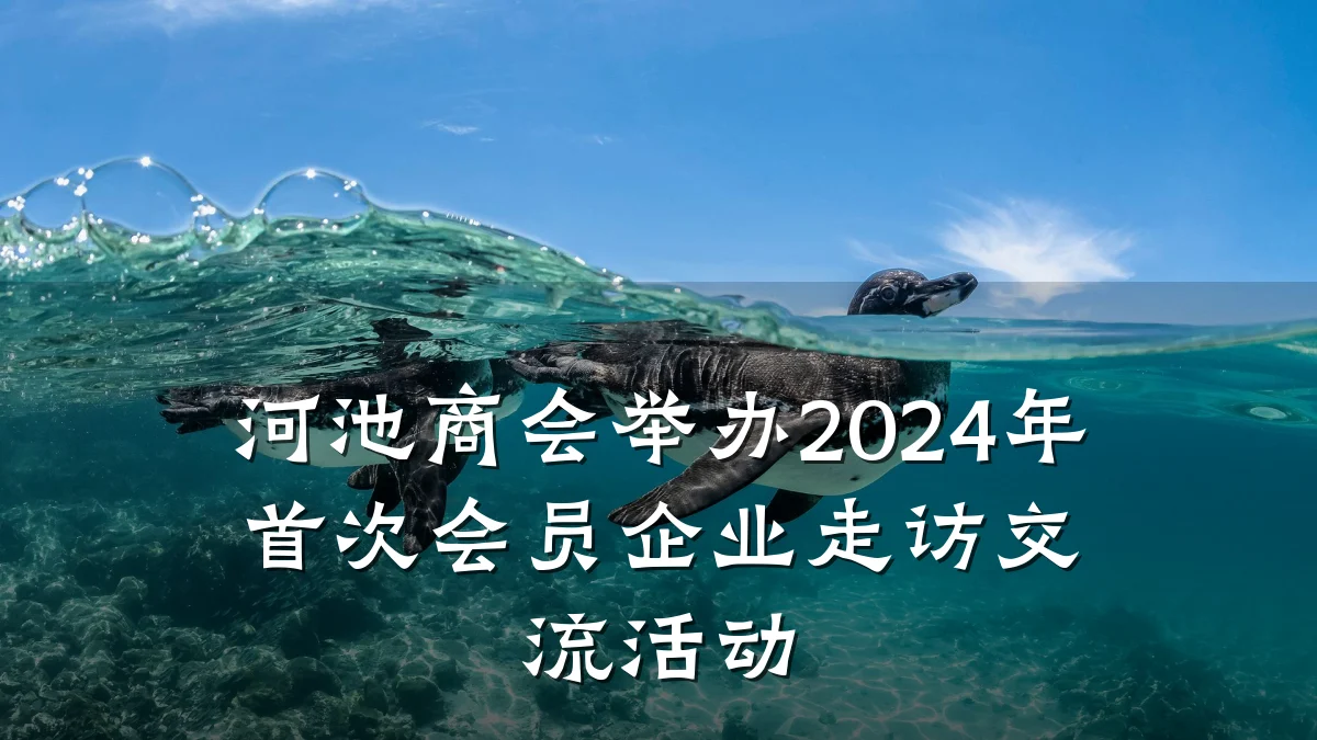 河池商会举办2024年首次会员企业走访交流活动