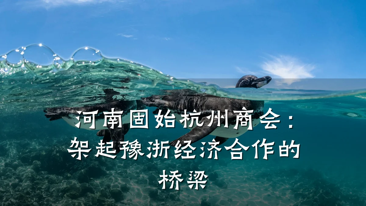 河南固始杭州商会：架起豫浙经济合作的桥梁