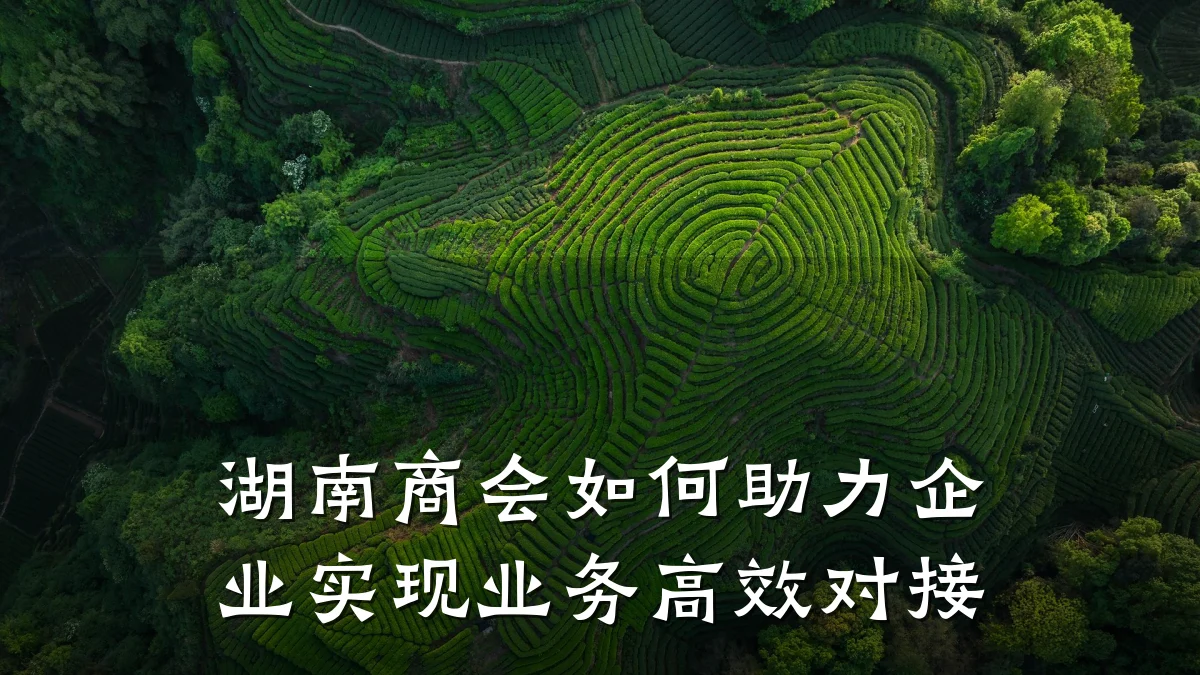 湖南商会如何助力企业实现业务高效对接