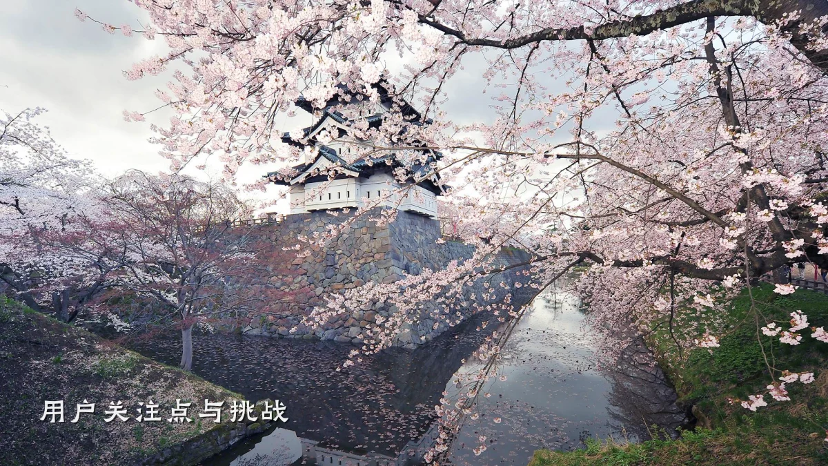 用户关注点与挑战
