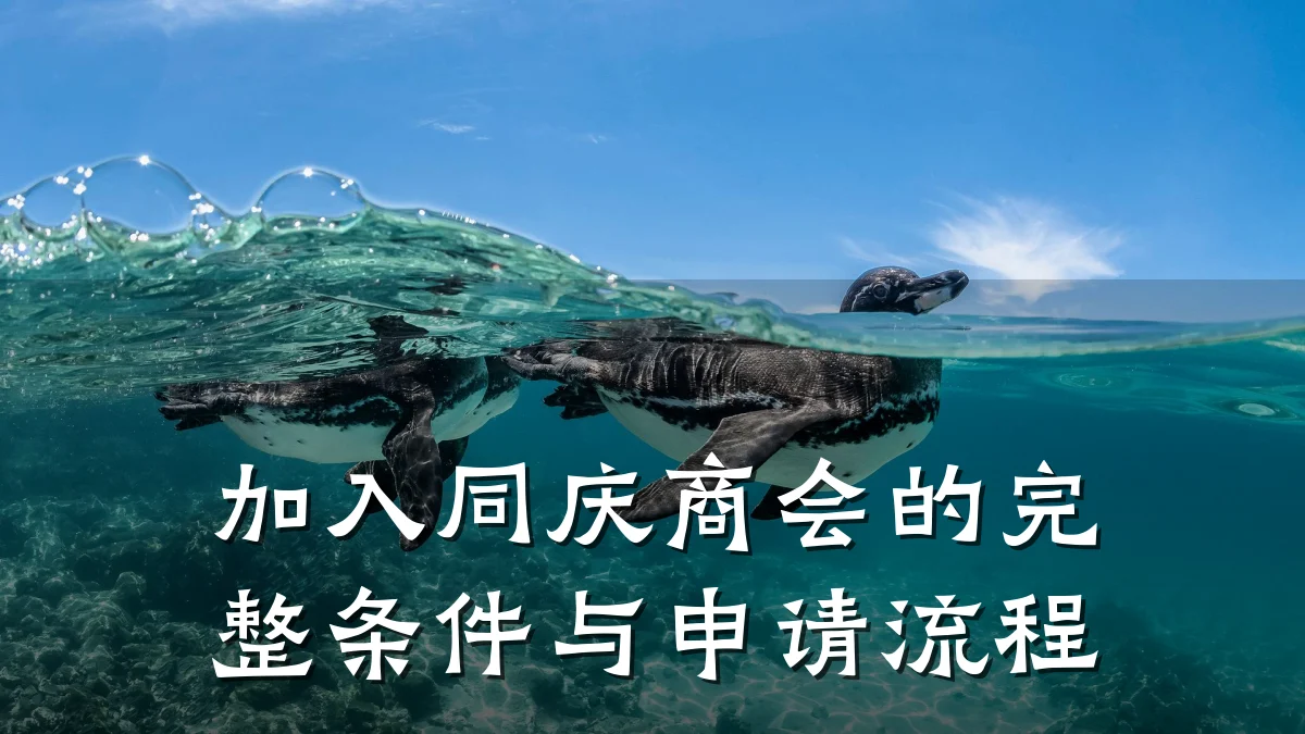 加入同庆商会的完整条件与申请流程