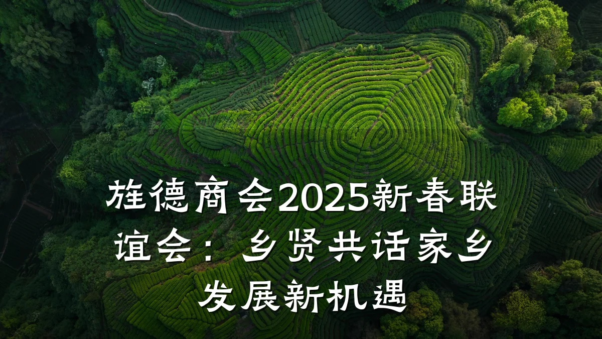 旌德商会2025新春联谊会:乡贤共话家乡发展新机遇