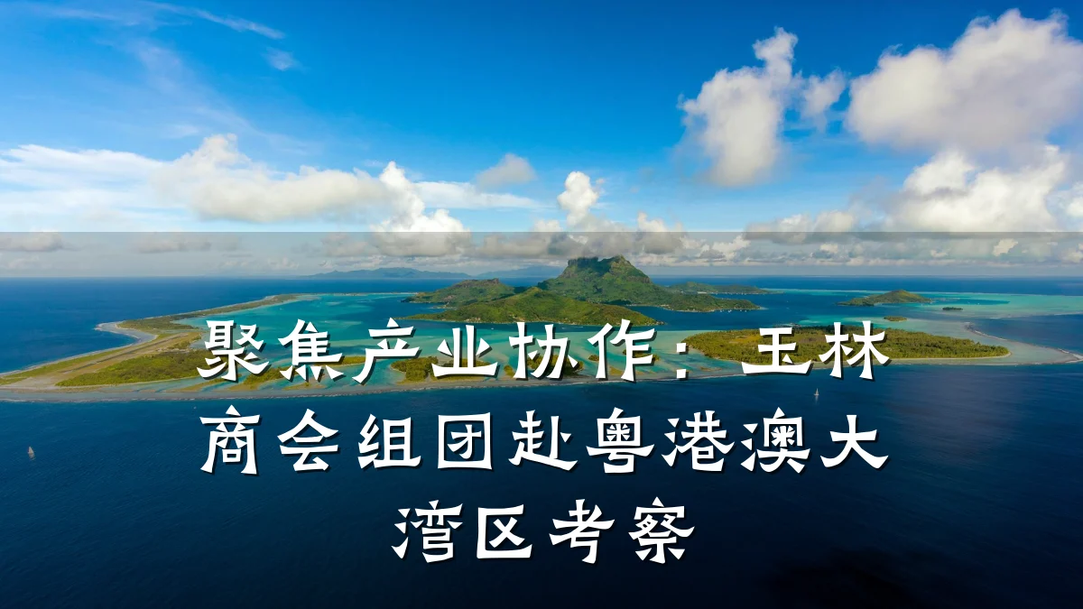 聚焦产业协作：玉林商会组团赴粤港澳大湾区考察