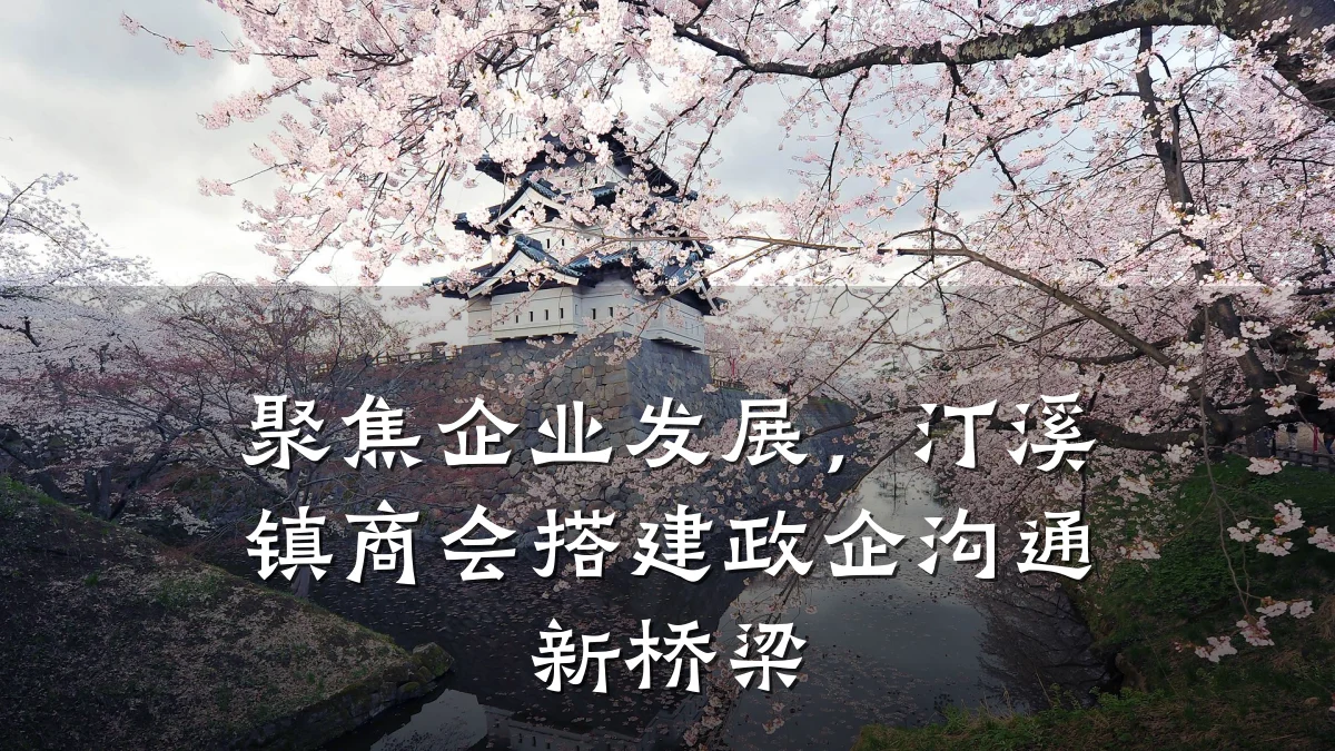 聚焦企业发展，汀溪镇商会搭建政企沟通新桥梁