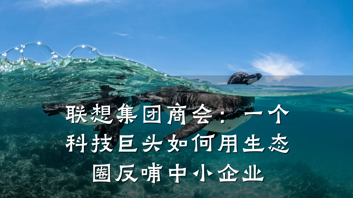 联想集团商会：一个科技巨头如何用生态圈反哺中小企业