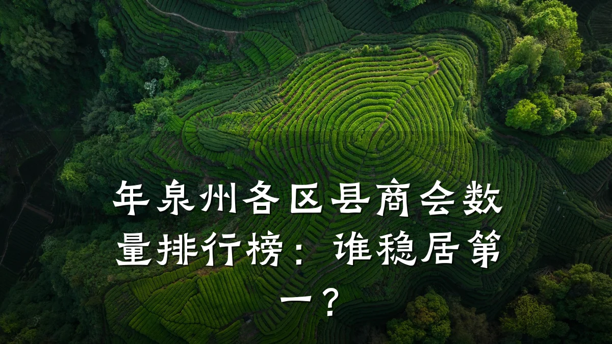 年泉州各区县商会数量排行榜：谁稳居第一？