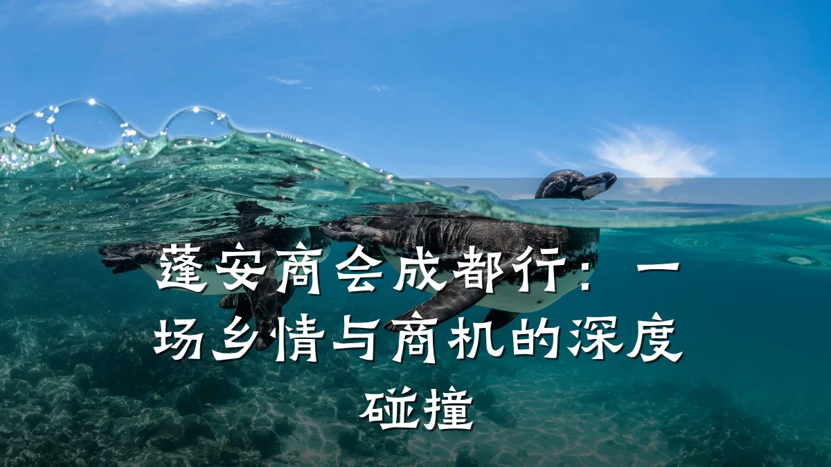 蓬安商会成都行:一场乡情与商机的深度碰撞