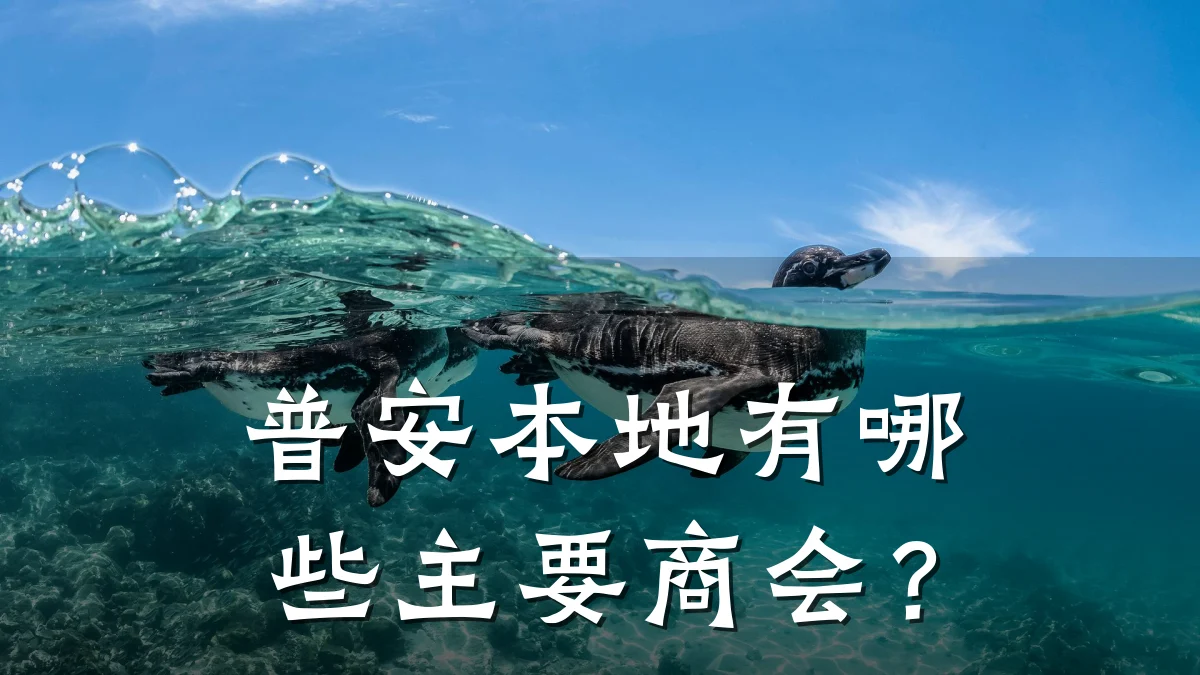 普安本地有哪些主要商会?