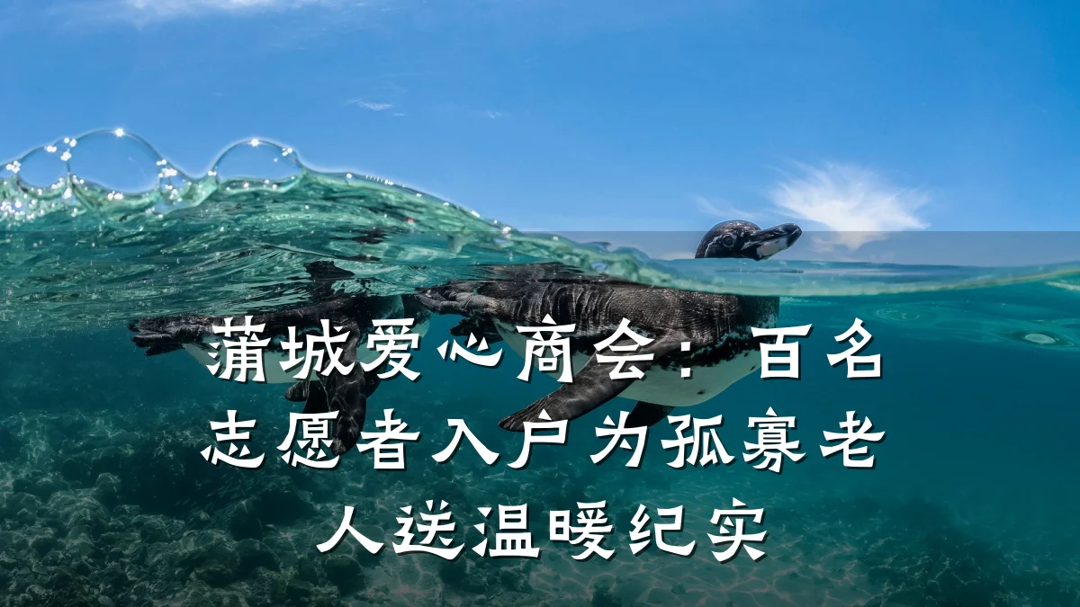 蒲城爱心商会:百名志愿者入户为孤寡老人送温暖纪实