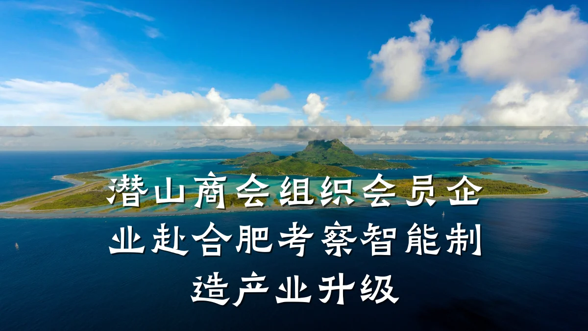 潜山商会组织会员企业赴合肥考察智能制造产业升级