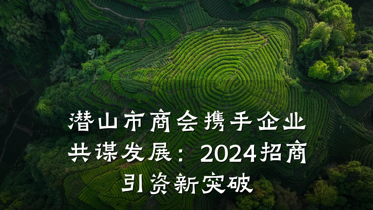 潜山市商会携手企业共谋发展:2024招商引资新突破