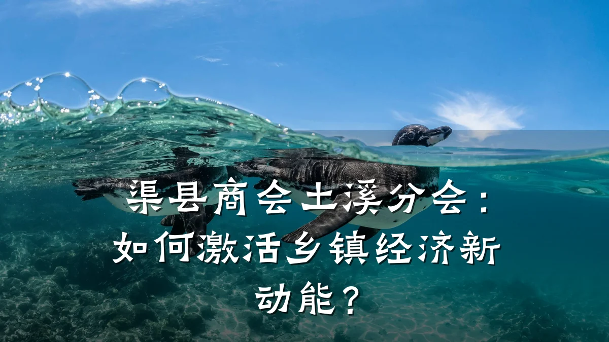 渠县商会土溪分会:如何激活乡镇经济新动能?