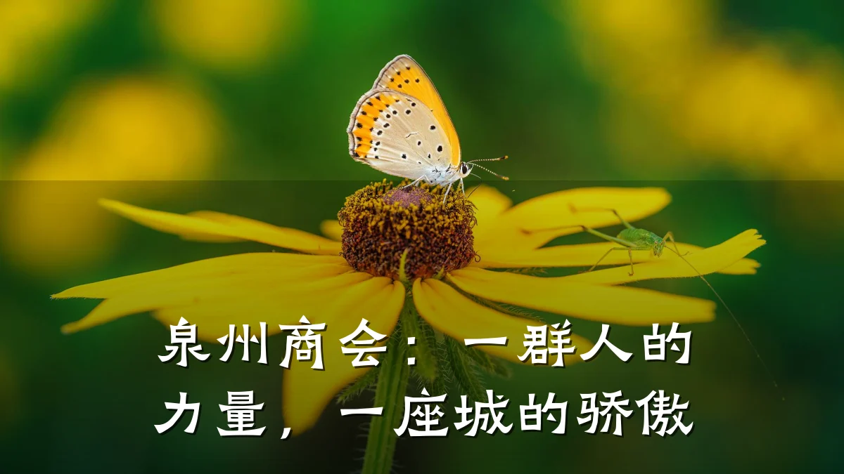 泉州商会：一群人的力量，一座城的骄傲
