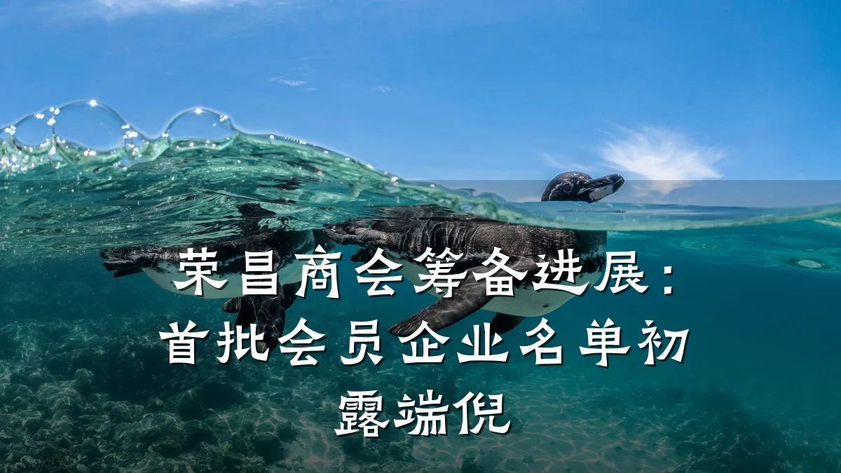 荣昌商会筹备进展:首批会员企业名单初露端倪